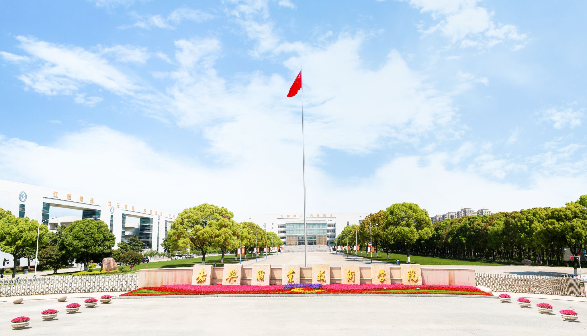 嘉職 · 喜報(bào) | 我校4本...