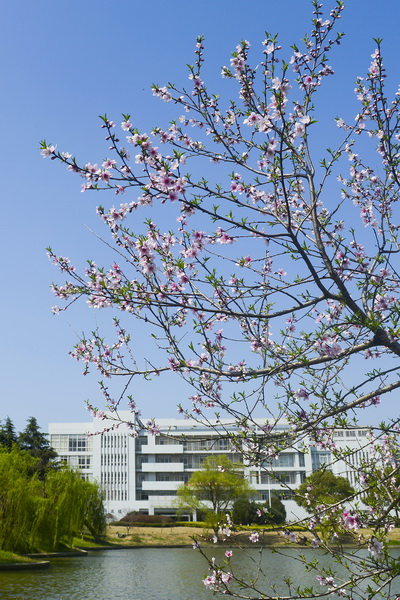 _wzy0897 副本修改