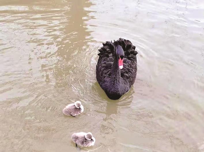 微信圖片_20210218200545